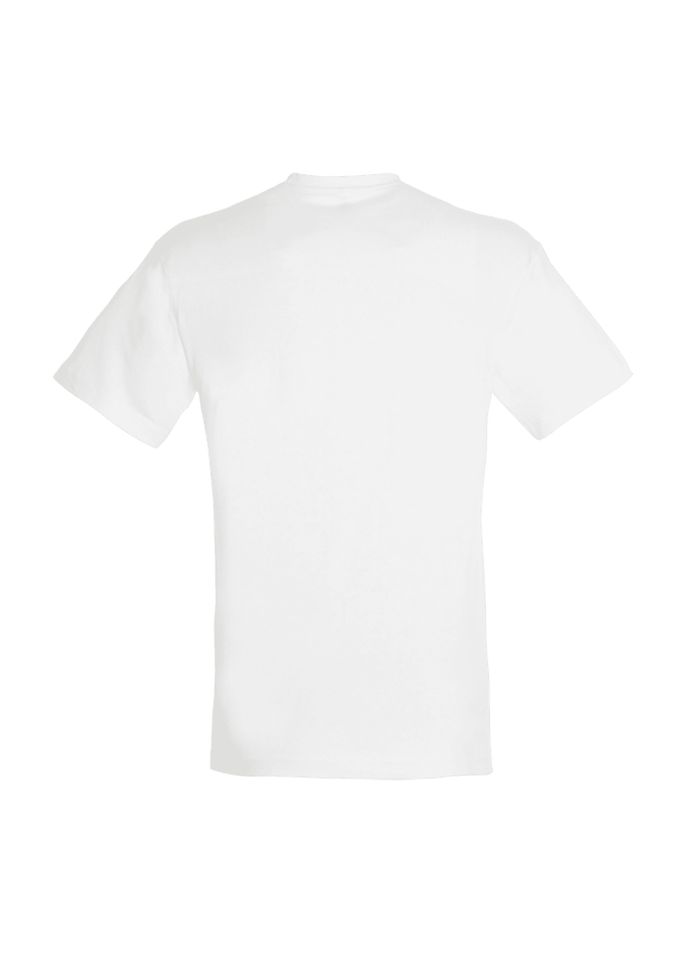 T-shirt Blanc 150g Adulte 016 Les Avalanches d'Annecy - AVA16-REGENTBLANCDOS