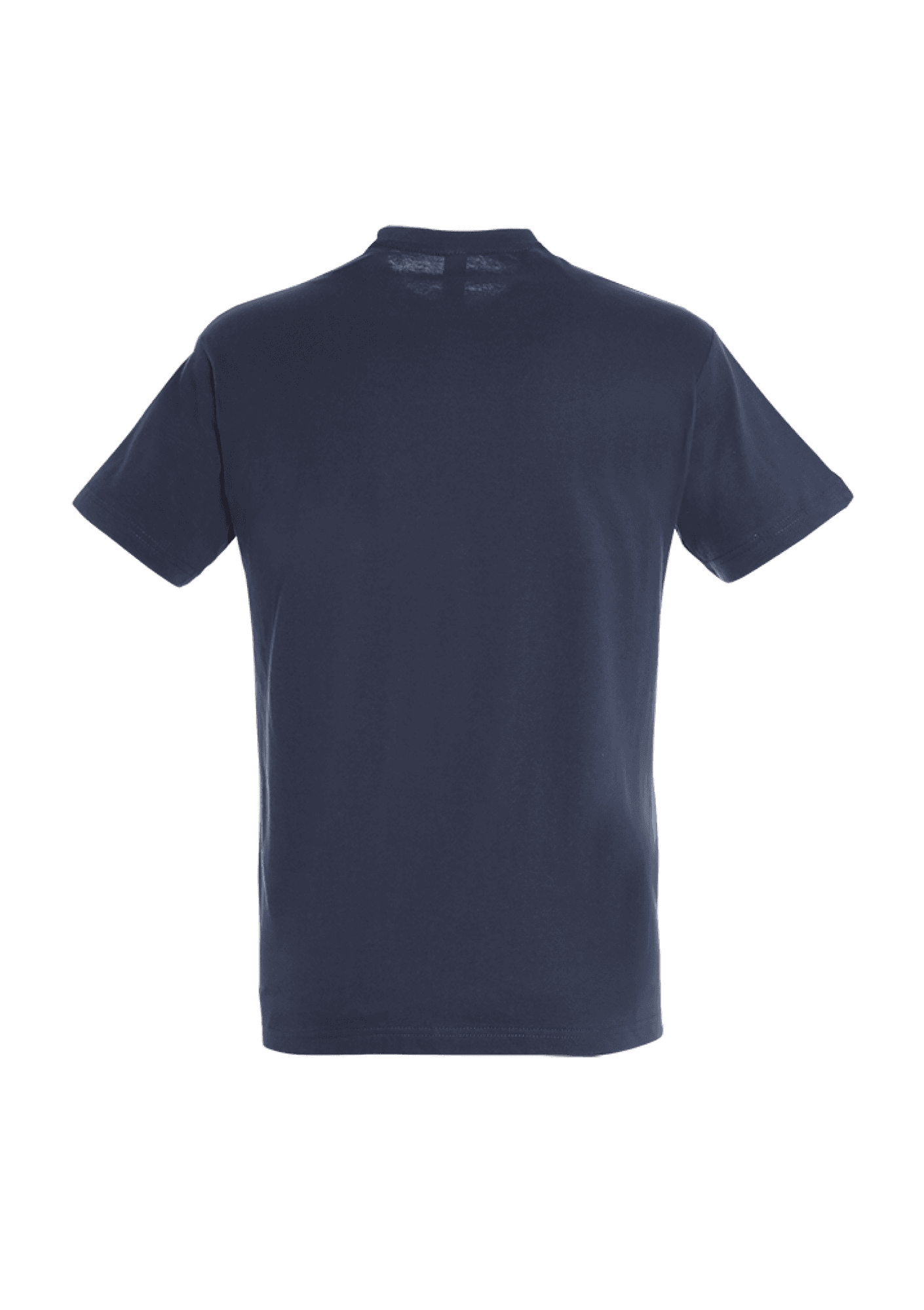 T-shirt Navy 150g Adulte 017 Les Avalanches d'Annecy - AVA17-REGENTNAVYDOS